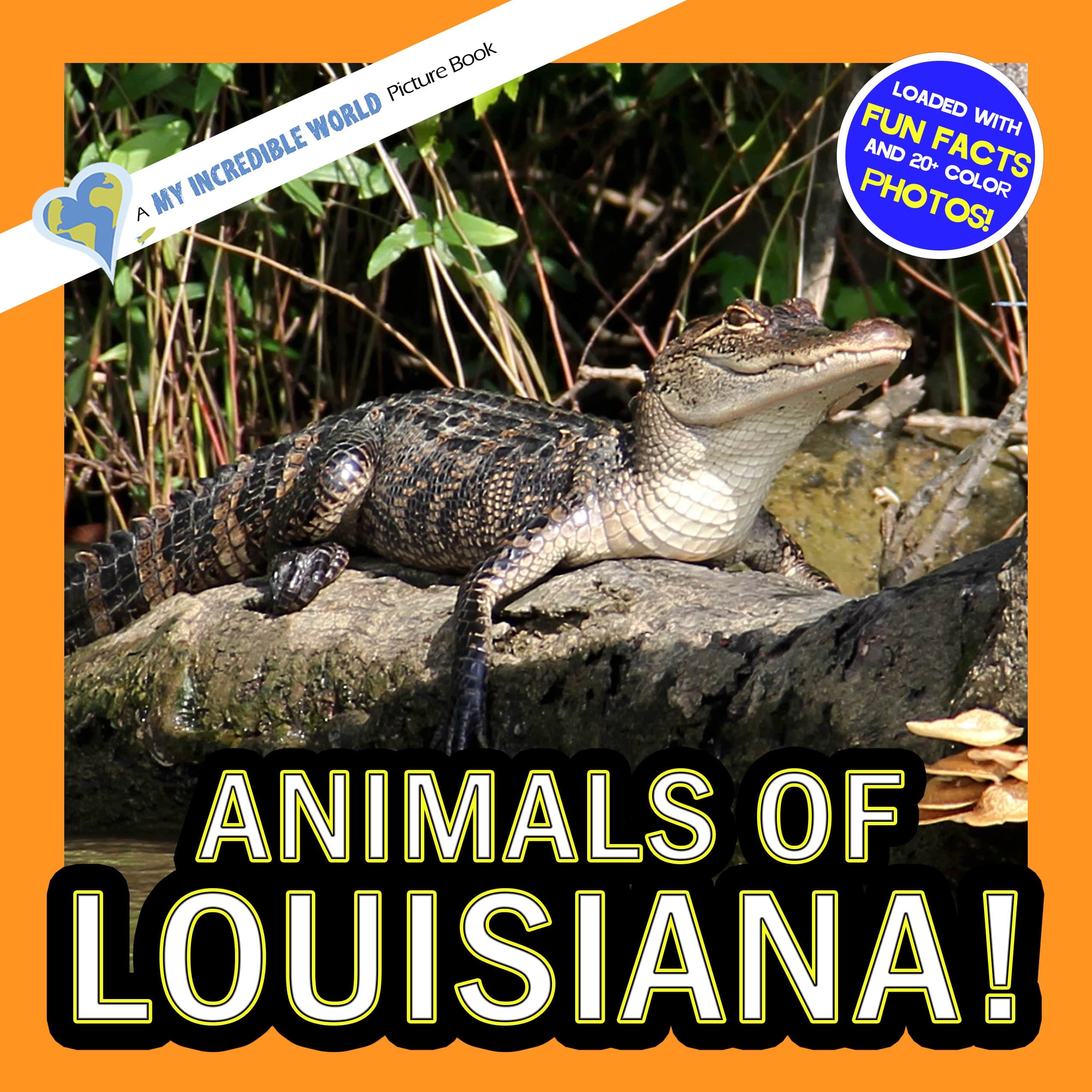 Animals of Louisiana! A My Incredible World Picture Book for Children